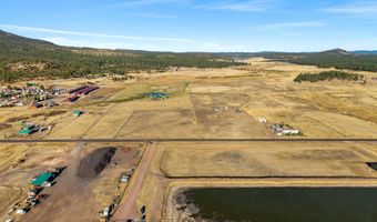 216 CR 2311, Alpine, AZ 85920