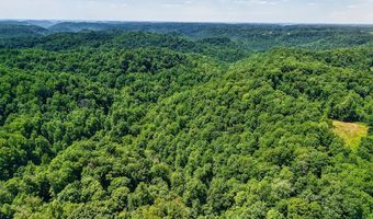 2926 Bryant Ridge Rd, Baxter, TN 38544