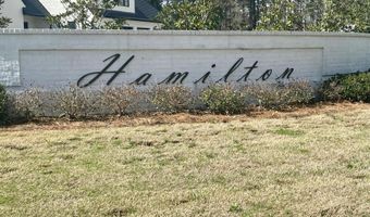 Hamilton Place, Brandon, MS 39047