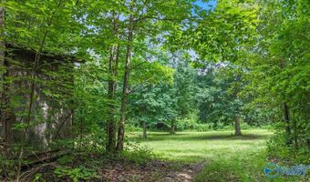 Unit # 0 Murphree Valley Road, Altoona, AL 35952