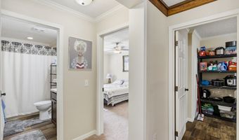 7970 SW 14th Pl, Bell, FL 32619