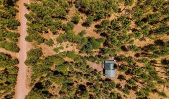 70 County Road 2266, Alpine, AZ 85920