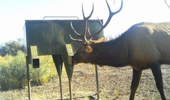 ERR State Hwy 118 S, Alpine, TX 79830