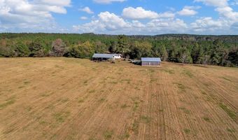 0 County Road 127, Banks, AL 36005