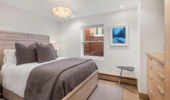 447 E Cooper Ave 1, Aspen, CO 81611