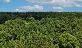 Tbd County Road 212, Anderson, TX 77830