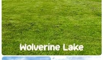 2370 Roselawn St, Wolverine Lake, MI 48390