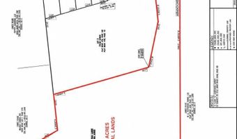 51 Acres W PINEY GROVE Rd De, Georgetown, DE 19947