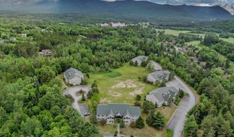 10 Stickney Way 16, Carroll, NH 03575