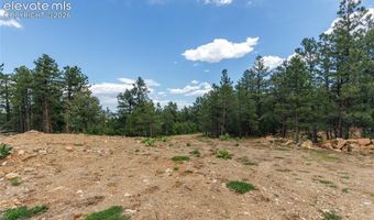 8719 Ponderosa Pine Dr, Beulah, CO 81023