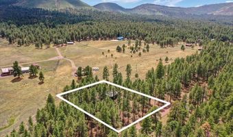 24 County Rd 2079, Alpine, AZ 85920