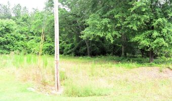 9 Glendale Acres, Eclectic, AL 36024