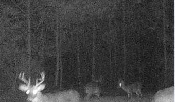 259 Forest Lake Rd, Beaumont, MS 39423
