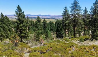 490 Nature's Edge Rd, Gardnerville, NV 89460