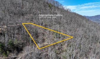 99999 Green Ridge Falls Rd 17, Barnardsville, NC 28709