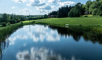 155 Hall Rd, Afton, NY 13730