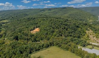 Lot 20 Clear Fork Creek Road, Bastian, VA 24314