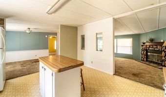 24031 ARMADILLO Rd, Astor, FL 32102