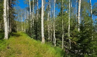 40 Acres Summit Mountain Rd, Brian Head, UT 84719