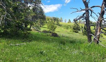 Blacktooth Road lot 12, Big Horn, WY 82833