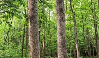 3060 Cypress Cv, Ball Ground, GA 30107