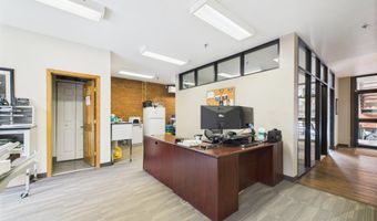 533 E Hopkins Ave 103, Aspen, CO 81611