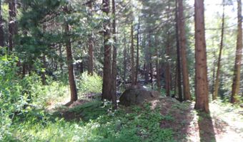 2159 Sierra Pkwy, Arnold, CA 95223