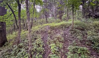 625 Th Ave, Albia, IA 52531