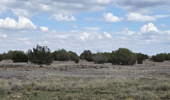 64 Antelope Run, Ash Fork, AZ 86320