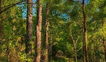 1581 Hwy C 180, Baker, FL 32531