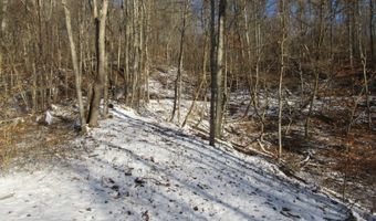 297 Woodburn Run Rd, Alma, WV 26320