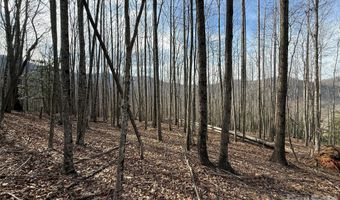 1029 Chippawa Dr 67, Arden, NC 28704