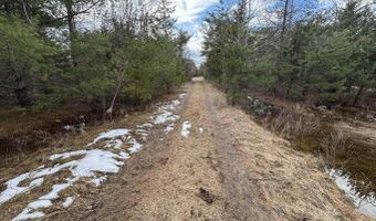 5280 Cathro Rd, Alpena, MI 49707