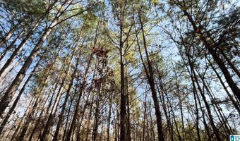 439 WILD ROSE Trl, Ashville, AL 35953