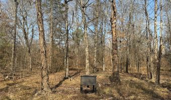 E 1931 RD, Antlers, OK 74523