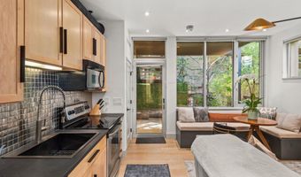 434 E Main St 104, Aspen, CO 81611