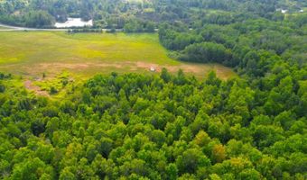 County Road Y, Aniwa, WI 54408