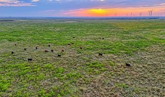 HWY 79, Archer City, TX 76374