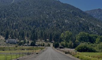 565 Jackson Ranch Rd, Gardnerville, NV 89460