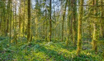 64281 E BRIGHTWOOD LOOP Rd, Brightwood, OR 97011