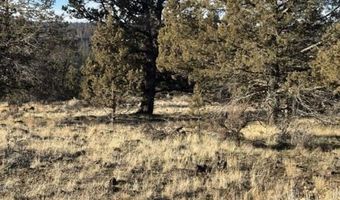 Canvasback Drive, Bonanza, OR 97623