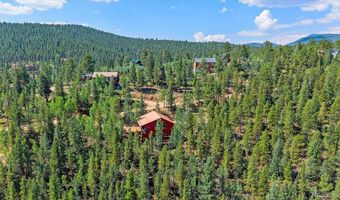 153 Wise Rd, Bailey, CO 80421