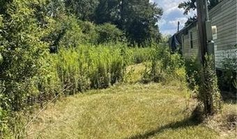 12539 YOUNG Ln, Amite, LA 70422