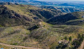 100 Canyon Gulch Rd, Bellvue, CO 80512