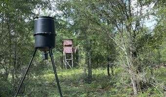 40 Ac +/- Old River Rd, Baker, FL 32531