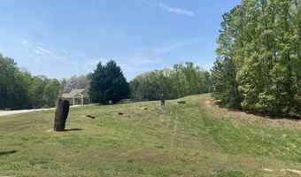 133 Lakeview Walk, Baldwin, GA 30511