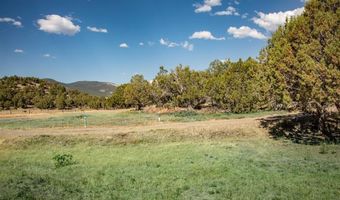 475 Run Around, Arboles, CO 81121