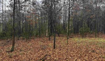 67 Old Wire Rd, Atkins, AR 72823