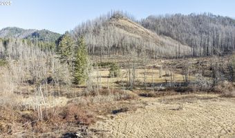 91747 BLUE RIVER RESERVOIR Rd, Blue River, OR 97413
