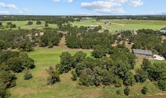 3 W Bluff Ln, Millsap, TX 76066